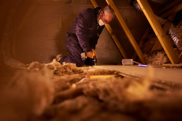 Best Batt and Roll Insulation  in Duncanville, TX